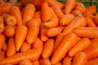 Морковь. Секреты богатого урожая